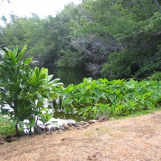 Ukumehame A Maui Cultural Lands Project