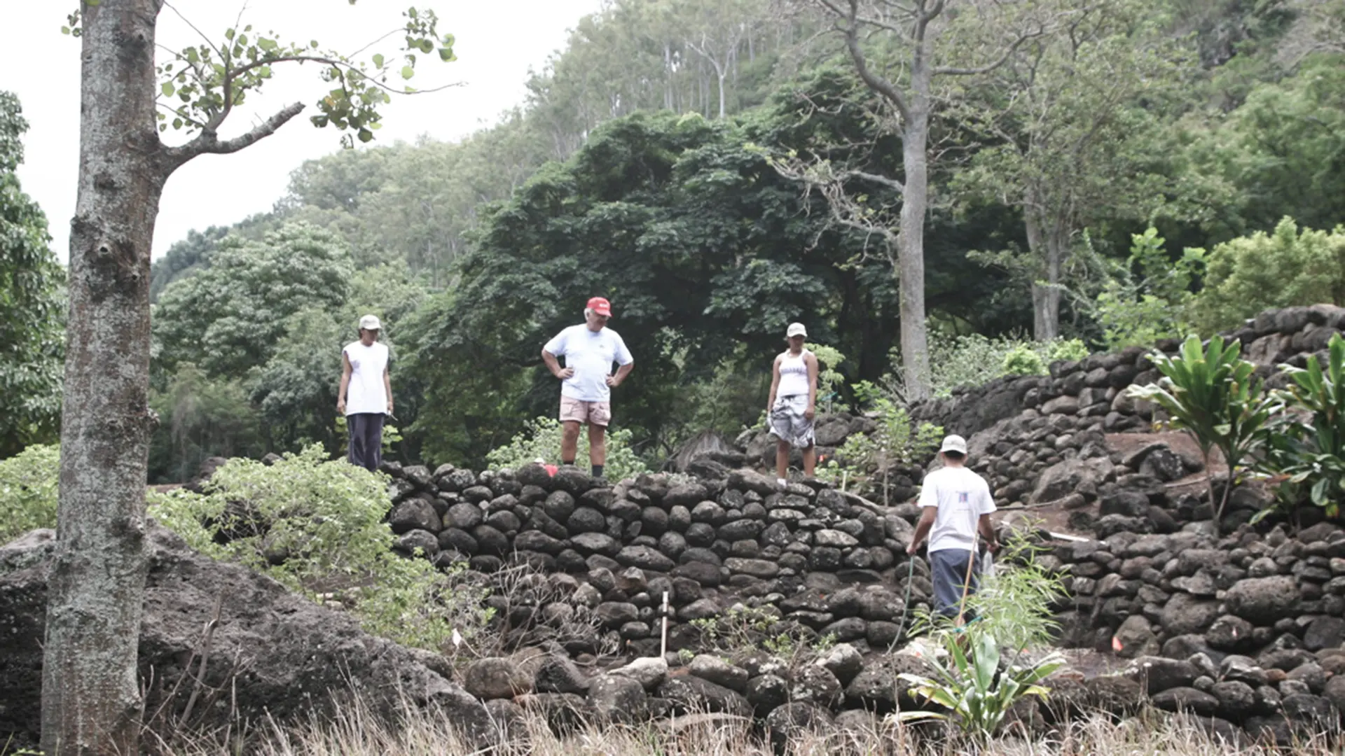 Project Malama Honokowai is focused on restoring the ancient home of a flourishing Hawaiian community over 500 years ago.