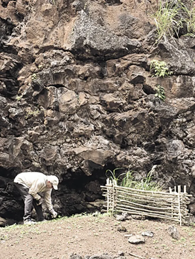 Project Malama Honokowai is focused on restoring the ancient home of a flourishing Hawaiian community over 500 years ago. Photo: Ray Mangan